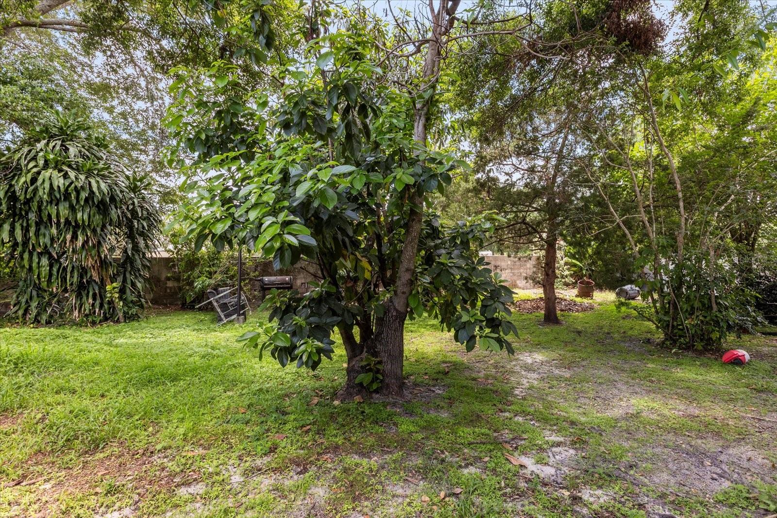TINDARO PINE ESTATES - Residential Income