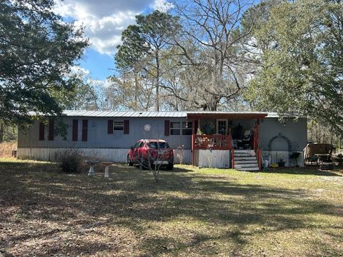 Photo of 12645 SW 83rd Trail, Lake Butler, FL 32054 (MLS # O6389859)