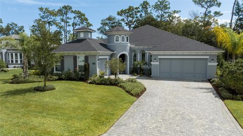 2423 WILD TURKEY CREEK LANE PORT ORANGE FL 32128