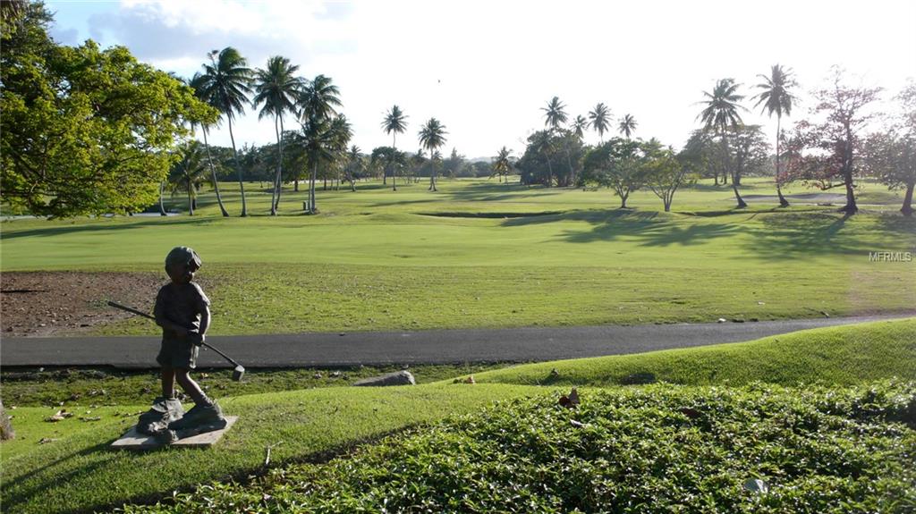 DORADO COUNTRY ESTATES - Residential