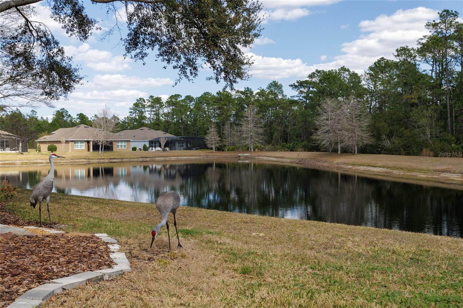 VICTORIA PARK INCREMENT 02 - Residential