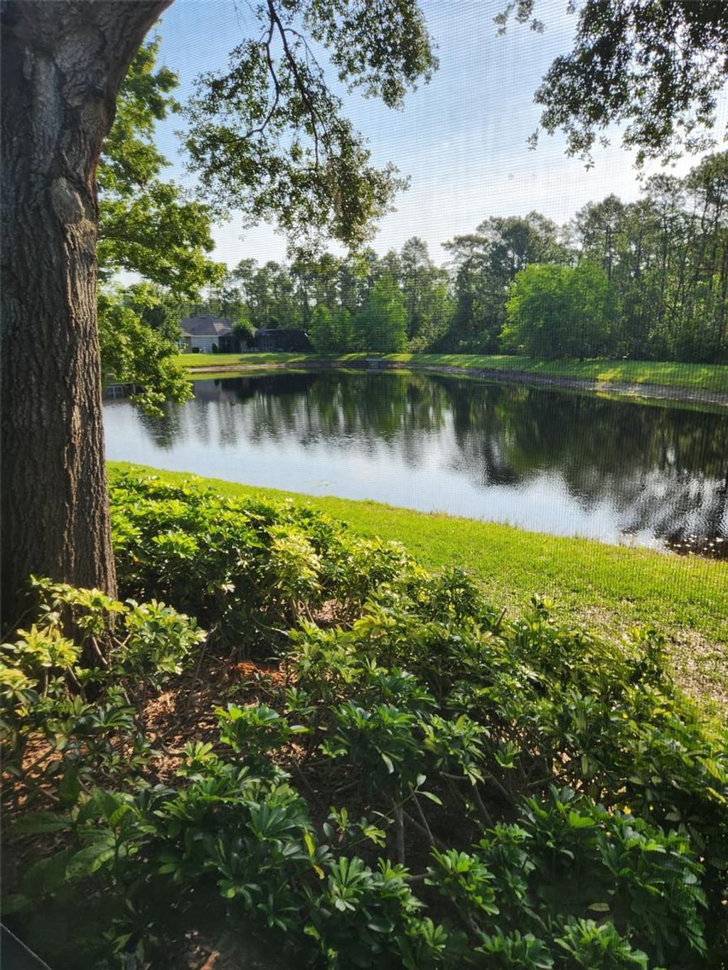 Photo of 526 Heron Point Way, Deland, FL 32724 (MLS # V4947482)