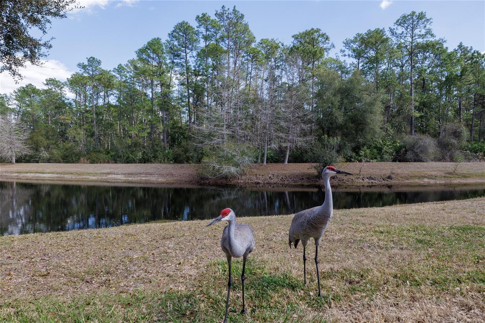 VICTORIA PARK INCREMENT 02 - Residential