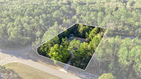 Tiny photo for 20698 SW 93rd Lane Road, Dunnellon, FL 34431 (MLS # OM717649)