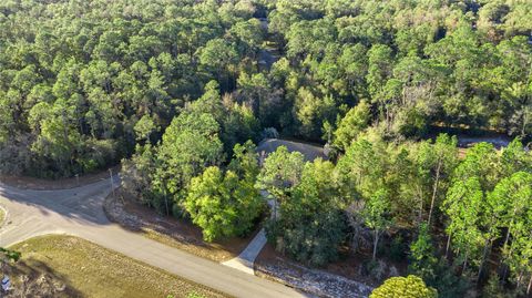 Tiny photo for 20698 SW 93rd Lane Road, Dunnellon, FL 34431 (MLS # OM717649)