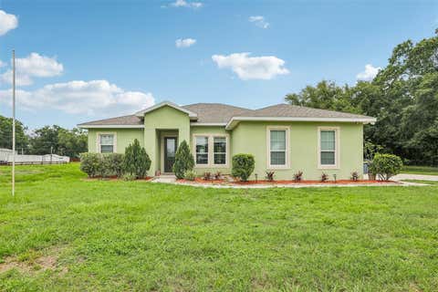 Photo of 9876 Pangola Loop, Land O Lakes, FL 34639 (MLS # TB8515486)