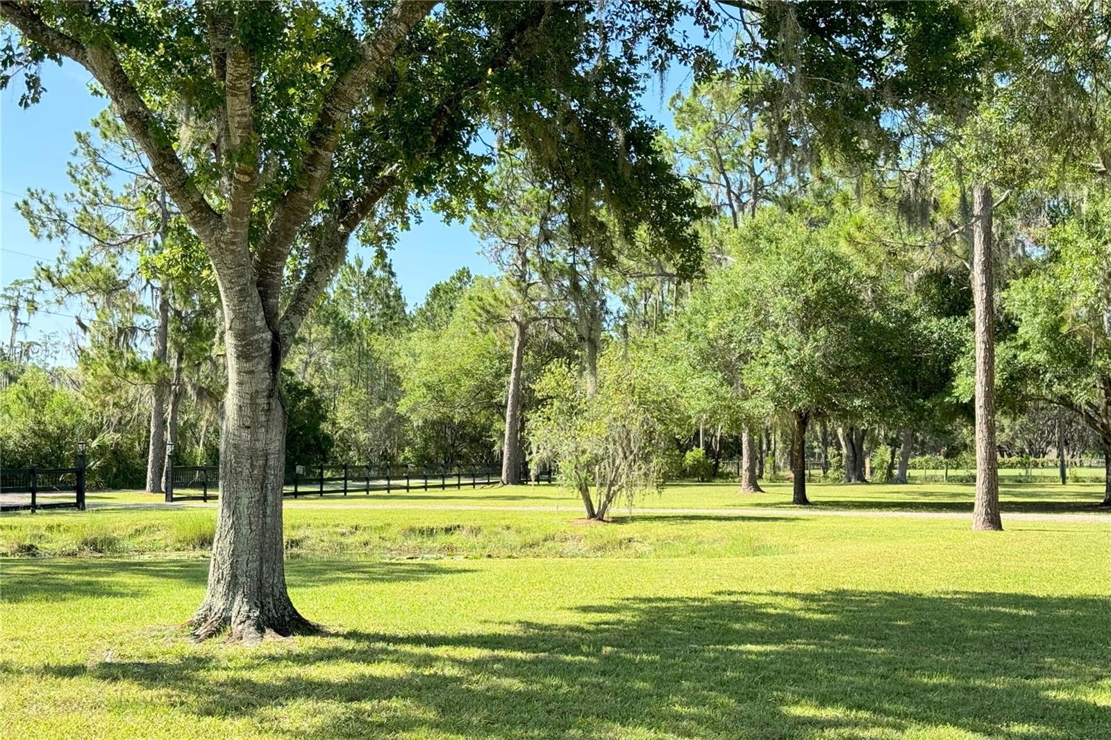 NOT IN SUBDIVISION - Residential