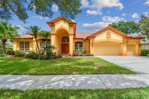 A home in TAMPA