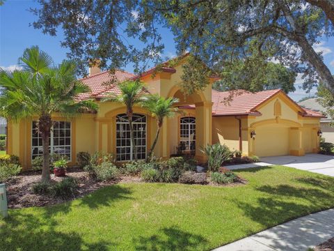 A home in TAMPA