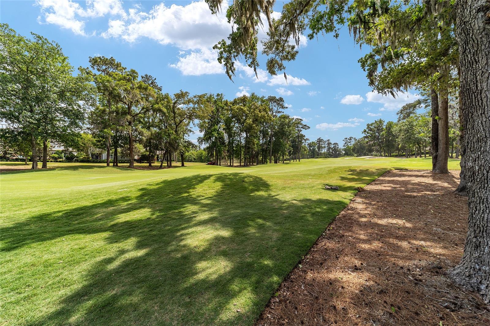 GOLDEN OCALA - Residential