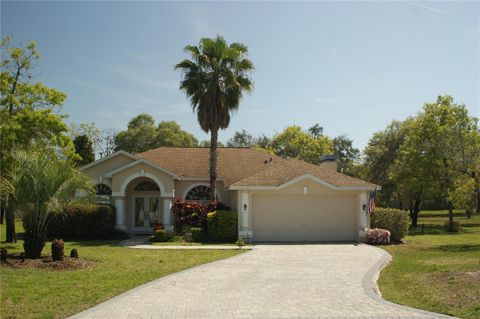 A home in SPRING HILL