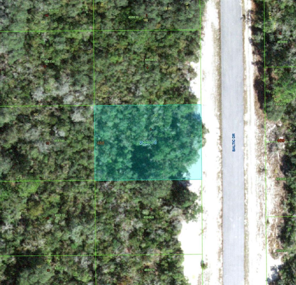 Photo of 1238 Baltic Drive, Kissimmee, FL 34759 (MLS # TB8501850)