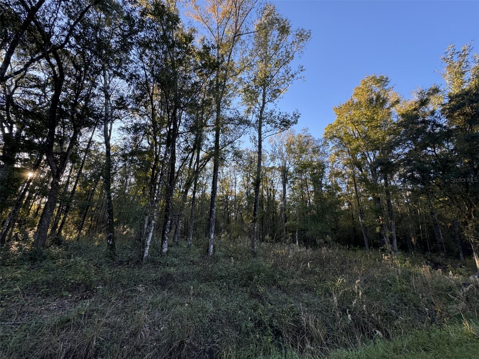 FLAGLER ESTATES 593 UT 2 - Land
