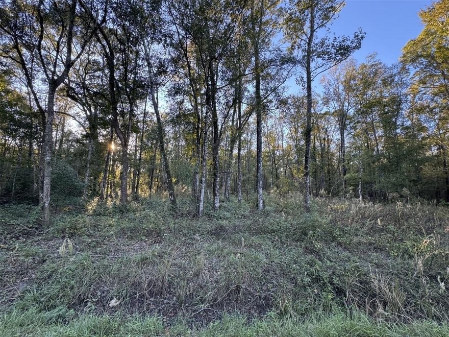 Here is a large build-able .86 acre high and dry lot with no HOA/CDD to worry about so you can bring your boat, RV, and ATV's. Privately located at the end of the street, this parcel is perfect for someone looking to build their dream home in a more rural setting where you can enjoy the peace and tranquility of all that Northeast Florida nature has to offer. This corner lot is bordered by both a paved asphalt street and dirt road. Call your builder today because lots are going fast in Flagler Estates!!!