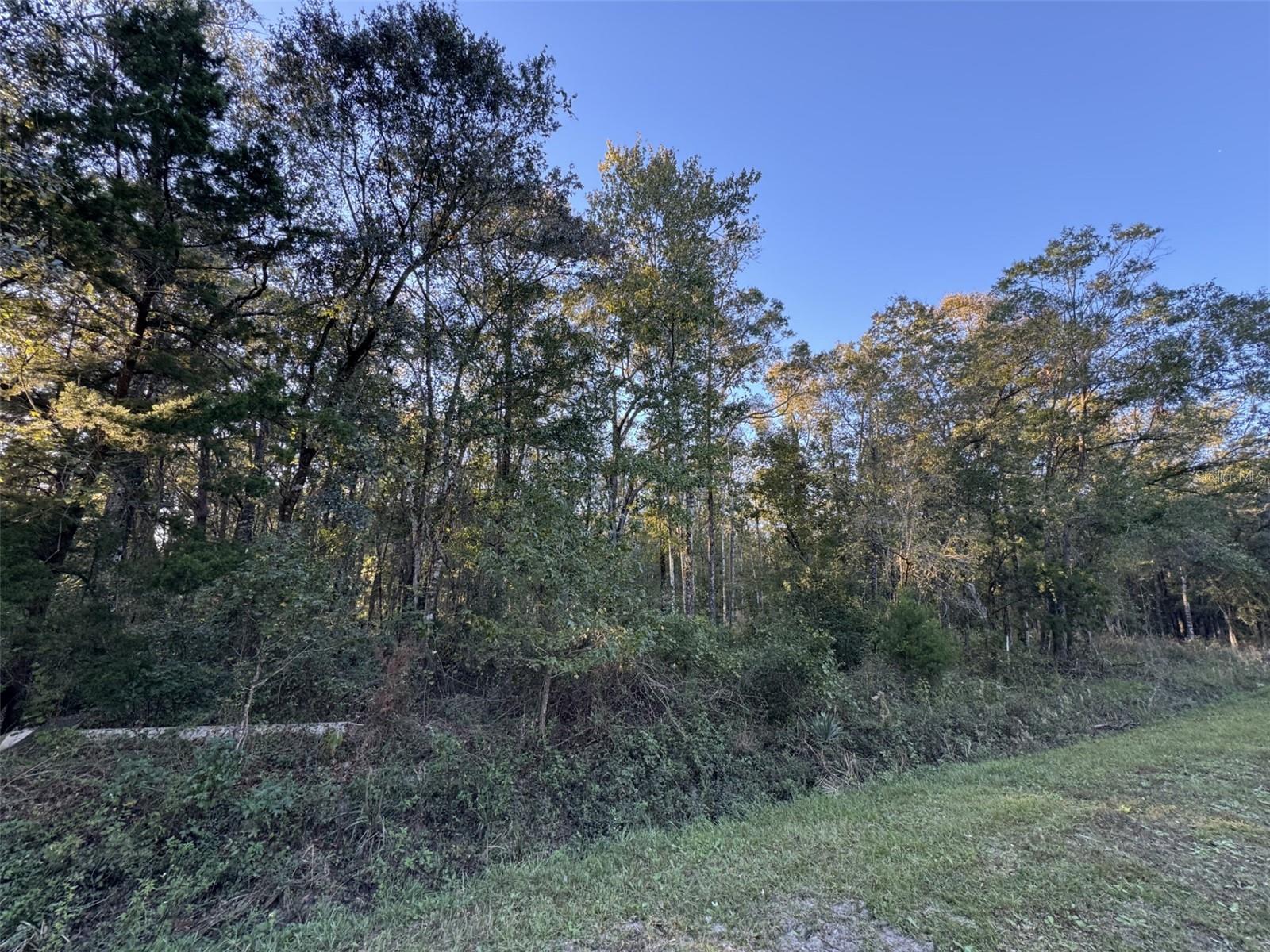 FLAGLER ESTATES 593 UT 2 - Land