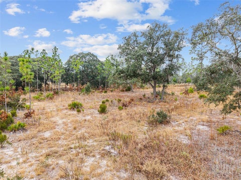 Tiny photo for NE 131 Place, Archer, FL 32618 (MLS # GC535930)