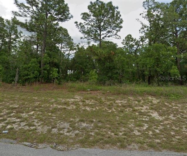 Great lot available in Marion County. The property is high and dry with no wetlands reported. Water connection is available. Don't miss the opportunity to pass on this great lot.