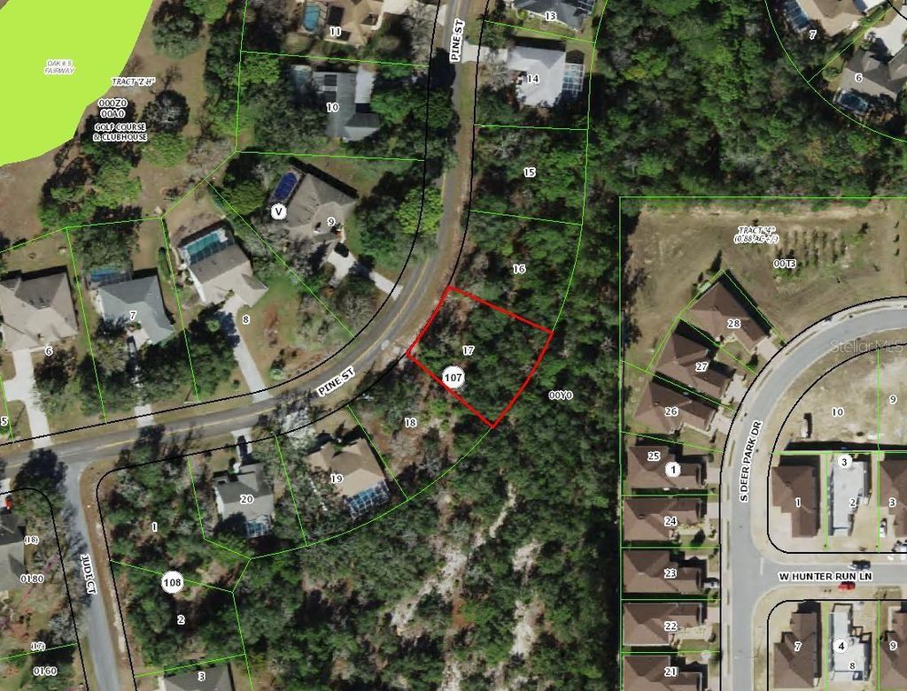 Photo of 149 Pine Street, Homosassa, FL 34446 (MLS # TB8468542)