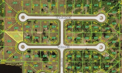 4 TARPON COURT PLACIDA FL 33946