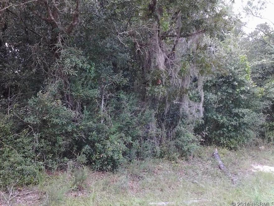 GREAT LOCATION TO BUILD YOUR DREAM HOME, CLOSE TO SHOPPING, LESS THAN 15 MINUTES TO BEACH AND OTHER LOCAL AMENITIES. WETLAND STUDY AND BOUNDARY SURVEY HAVE ALREADY BEEN COMPLETED ALONG WITH A RECENT APPRAISAL.GO SHOW ANYTIME-OWNERS FATHER IS LIC. R.E.; Cleared: No ;Water: Available at Site ;Water: Holding Tank