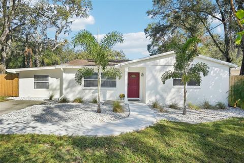 A home in SAFETY HARBOR