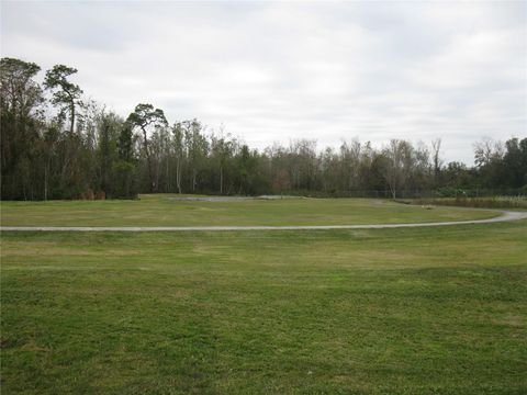 A home in HAINES CITY