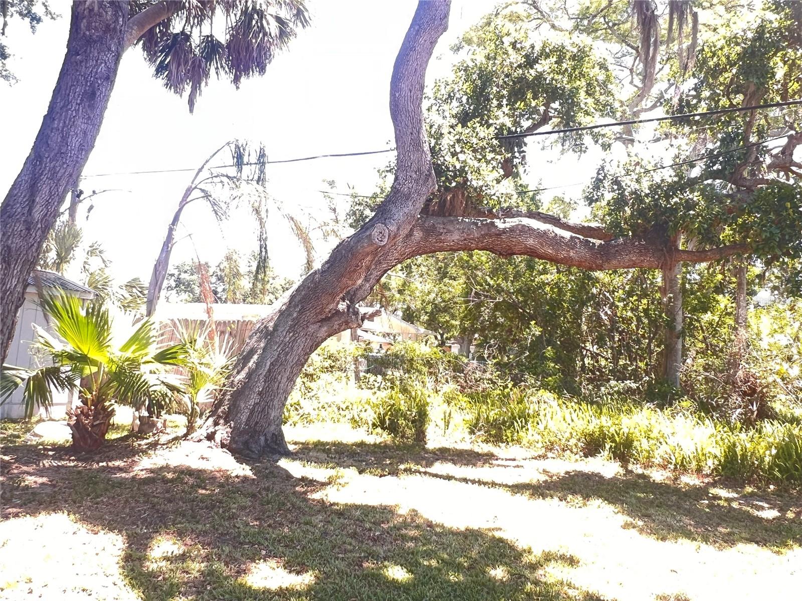 407 BAHAMA ROAD
