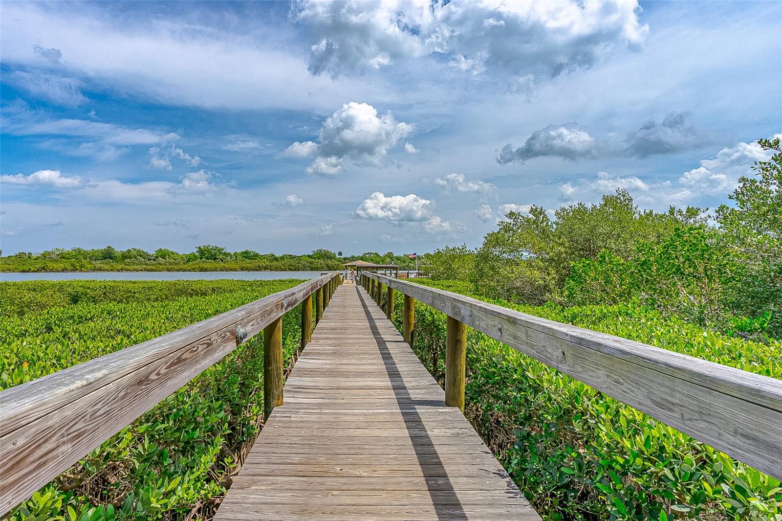 EDGEWATER LANDING PH 01 - Residential