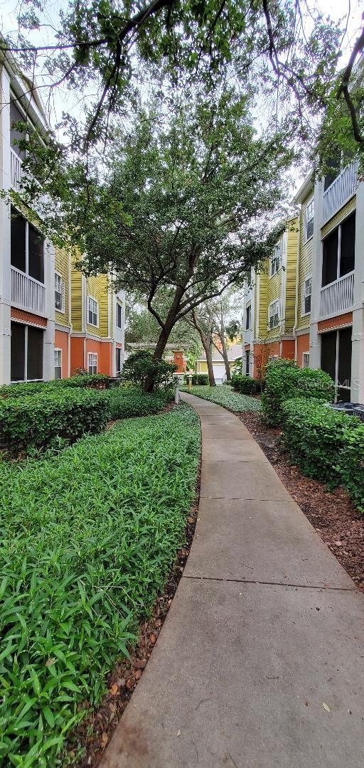 4207 S DALE MABRY HIGHWAY 5105
