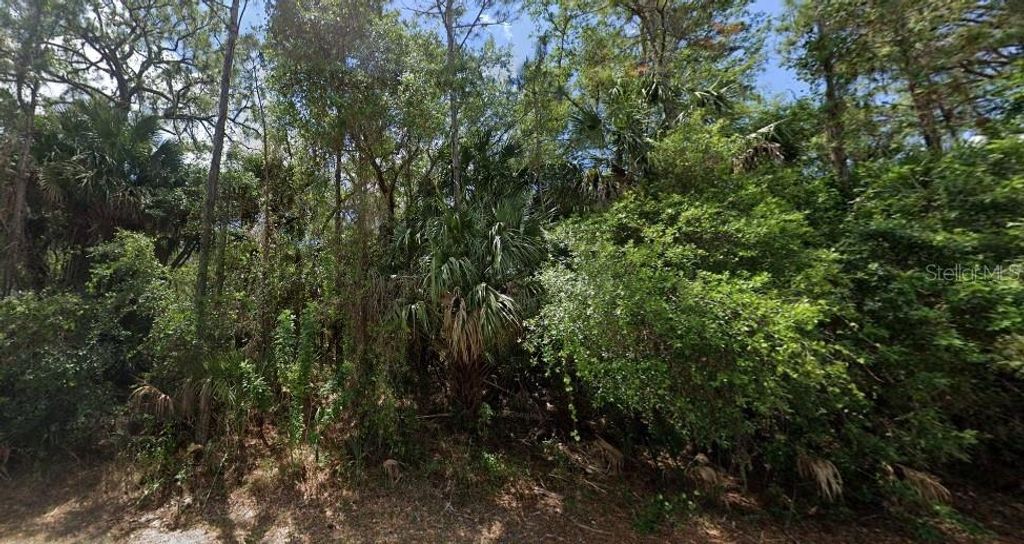 Photo of 14255 Mary Jo Avenue, Port Charlotte, FL 33953 (MLS # O6324181)