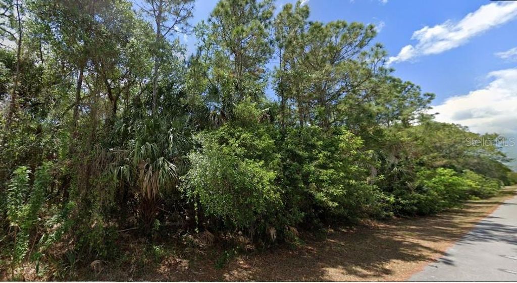 Photo of 14255 Mary Jo Avenue, Port Charlotte, FL 33953 (MLS # O6324181)