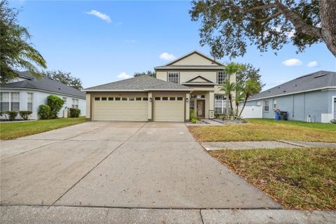 11418 CALLAWAY PND DRIVE RIVERVIEW FL 33579