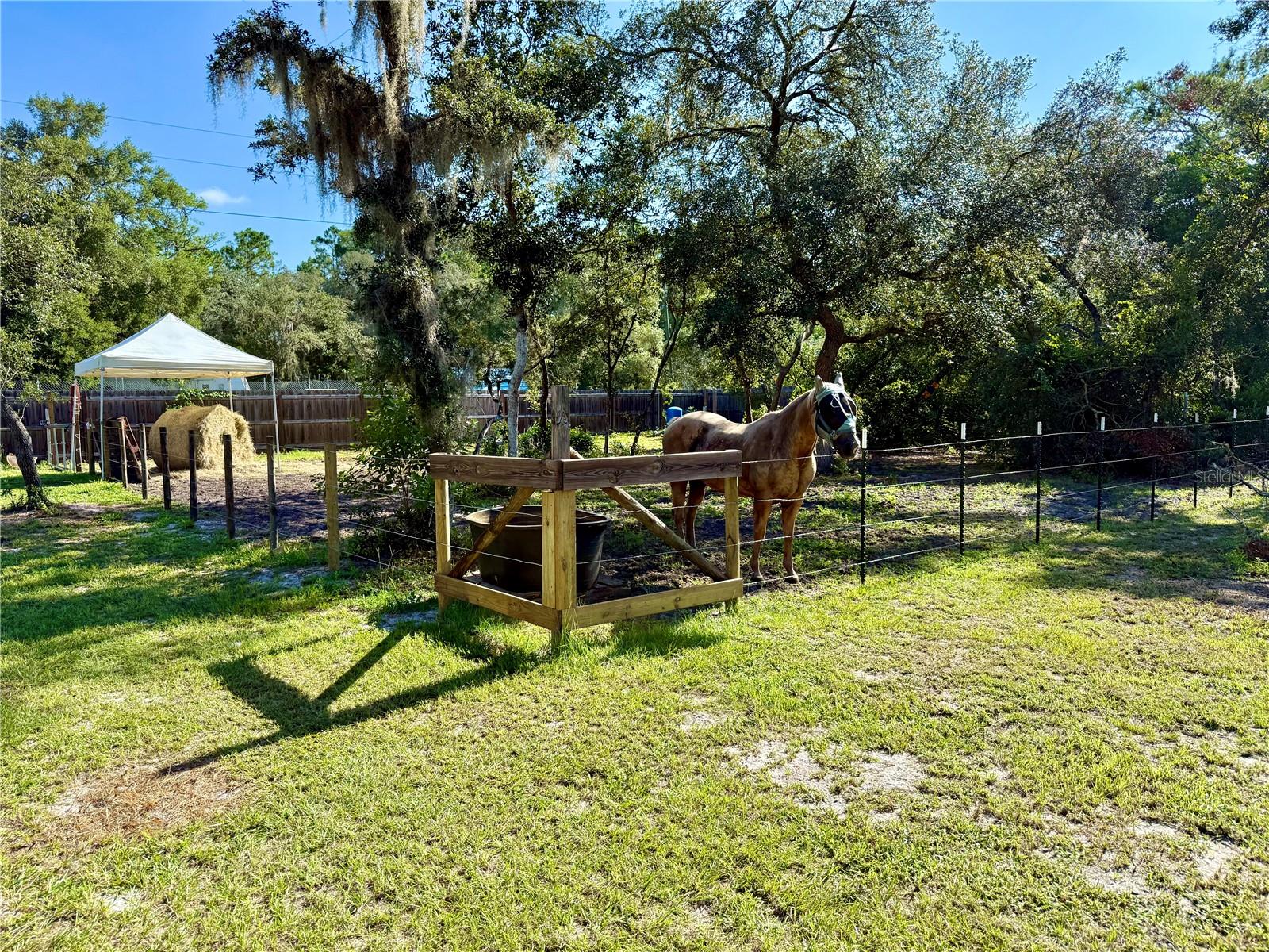 FRST LAKE CAMPSITES - Residential