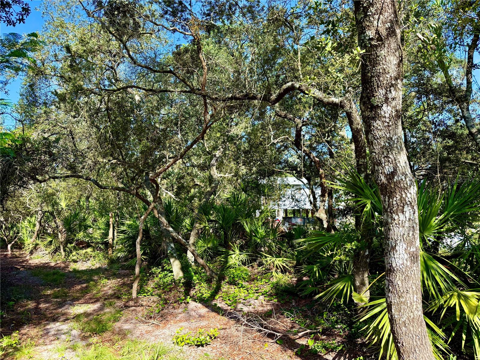 FRST LAKE CAMPSITES - Residential