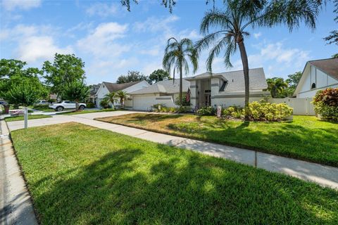 A home in TAMPA