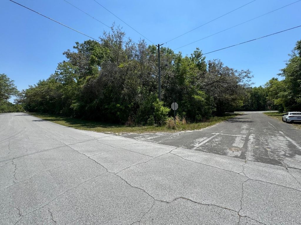 Photo of 9146 N Golfview Drive, Citrus Springs, FL 34434 (MLS # O6377848)