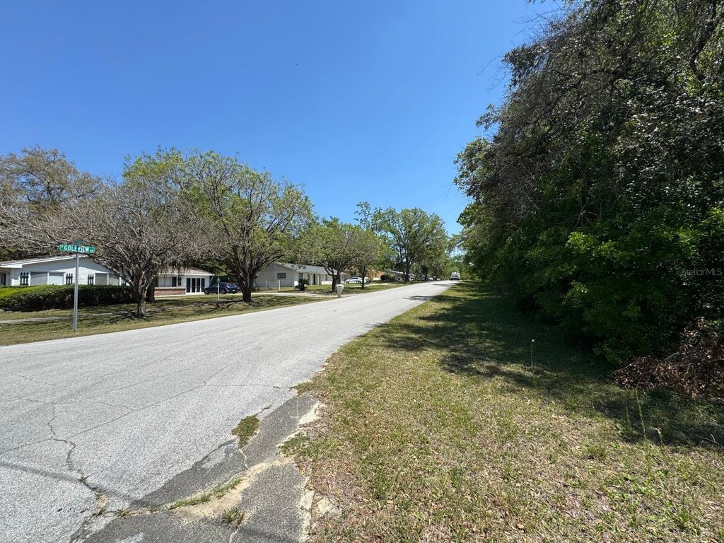 Photo of 9146 N Golfview Drive, Citrus Springs, FL 34434 (MLS # O6377848)