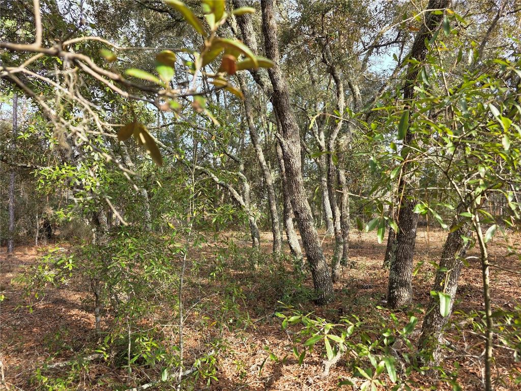 Photo of Tbd NE 150th Avenue, Williston, FL 32696 (MLS # OM718658)