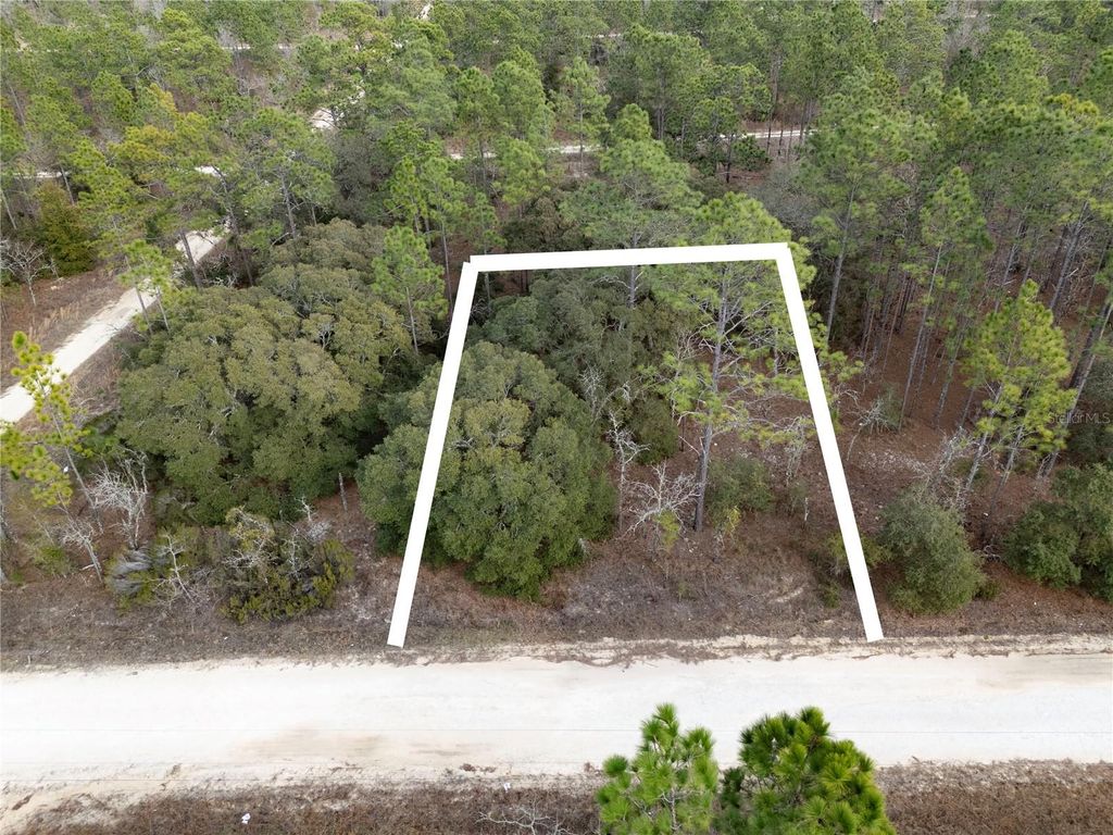 Photo of Tbd NE 150th Avenue, Williston, FL 32696 (MLS # OM718658)