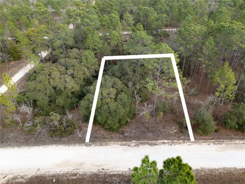 TBD NE 150TH AVENUE WILLISTON FL 32696