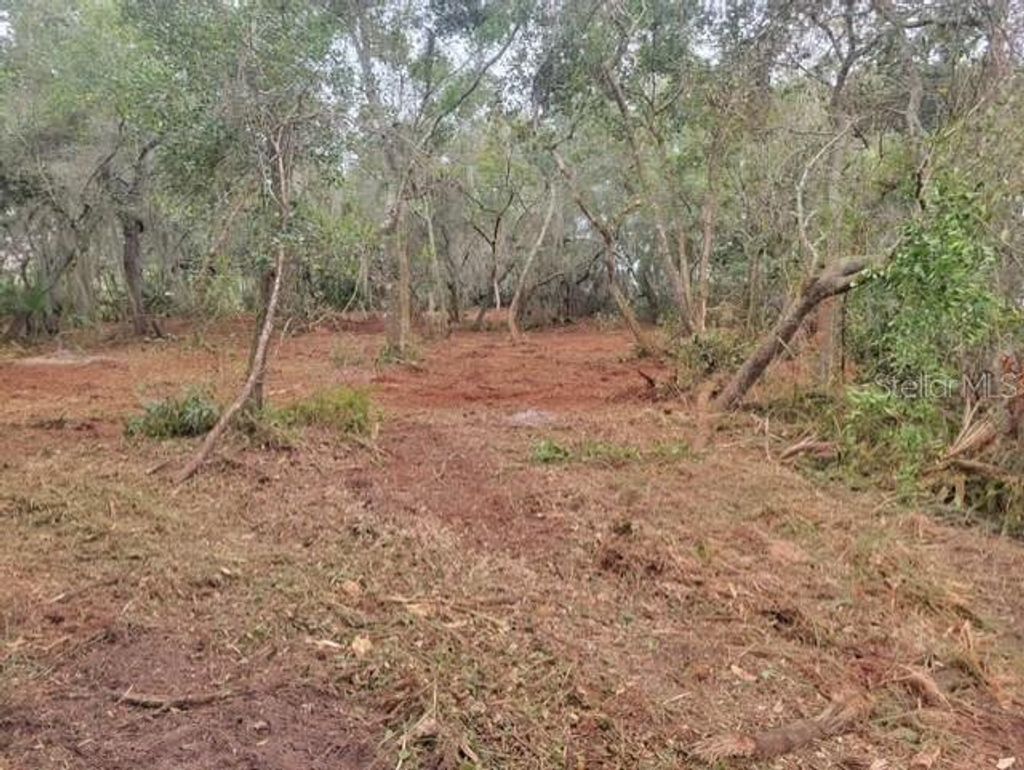 Photo of 2701 E Canal Road, Deltona, FL 32738 (MLS # O6390563)