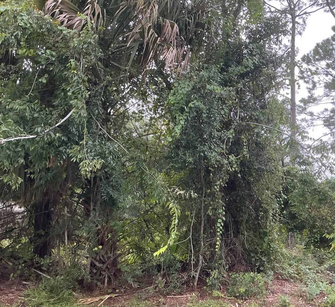 PALM COAST SEC 23 - Land