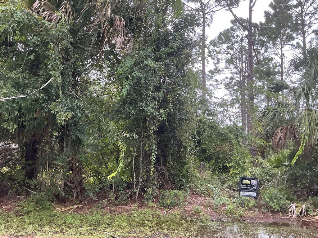 Photo of 39 Whittington Drive, Palm Coast, FL 32164 (MLS # OM711207)