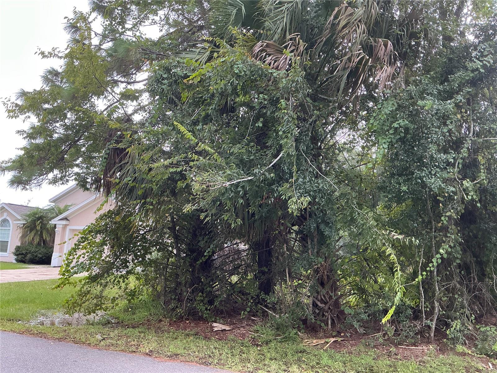 PALM COAST SEC 23 - Land