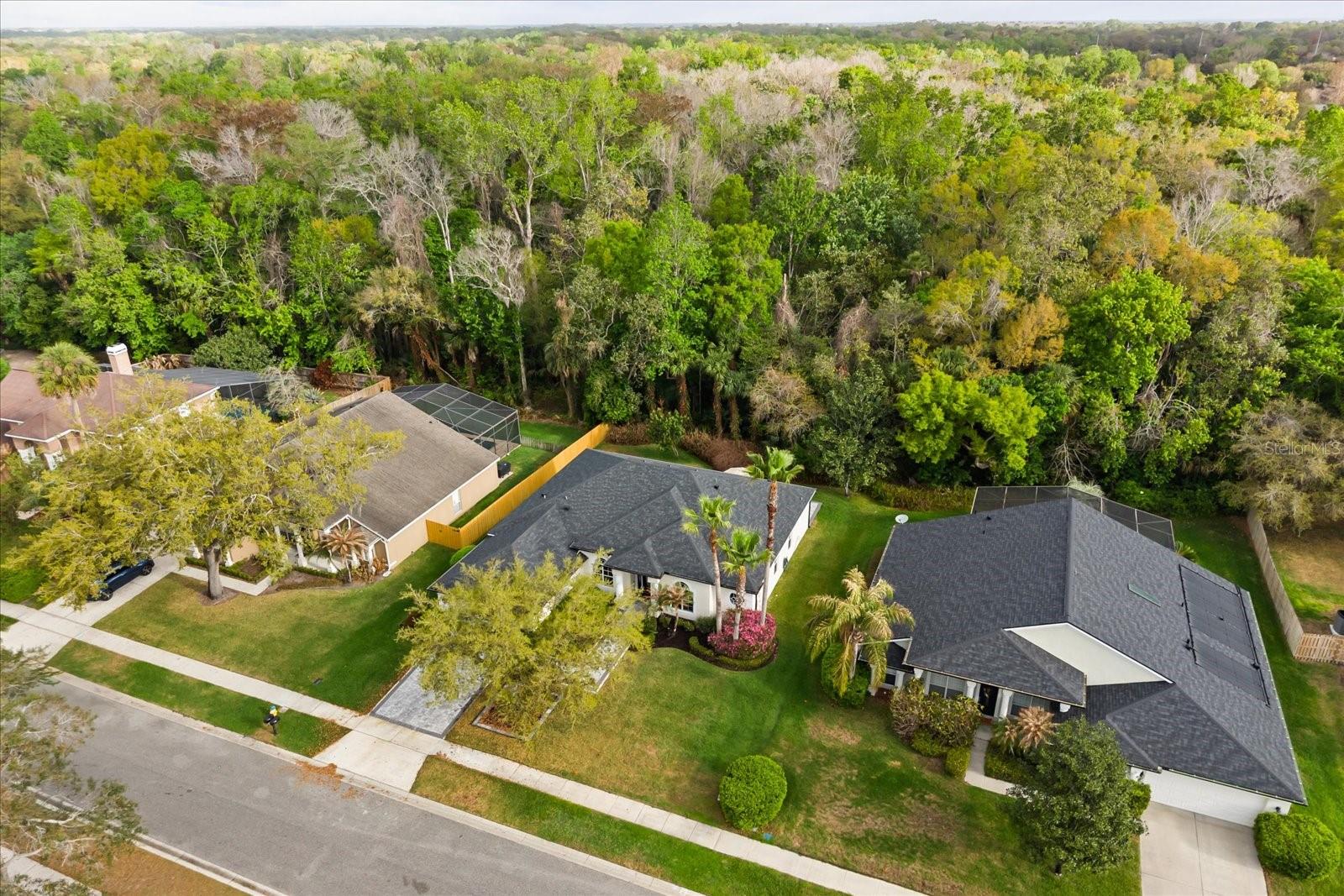 CHESTNUT ESTATES PH 2 - Residential