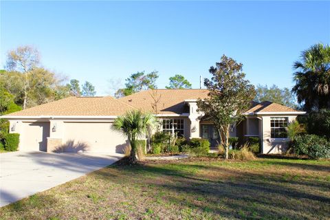 Photo of 8476 Madrid Road, Weeki Wachee, FL 34613 (MLS # O6369630)