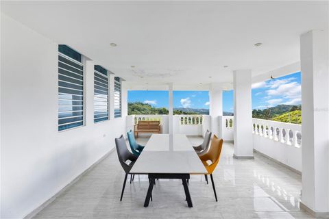 Lot 2 PR -745 KM 0.6, CAMPO ALEGRE SECTOR, ESPINO WARD SAN LORENZO  00754