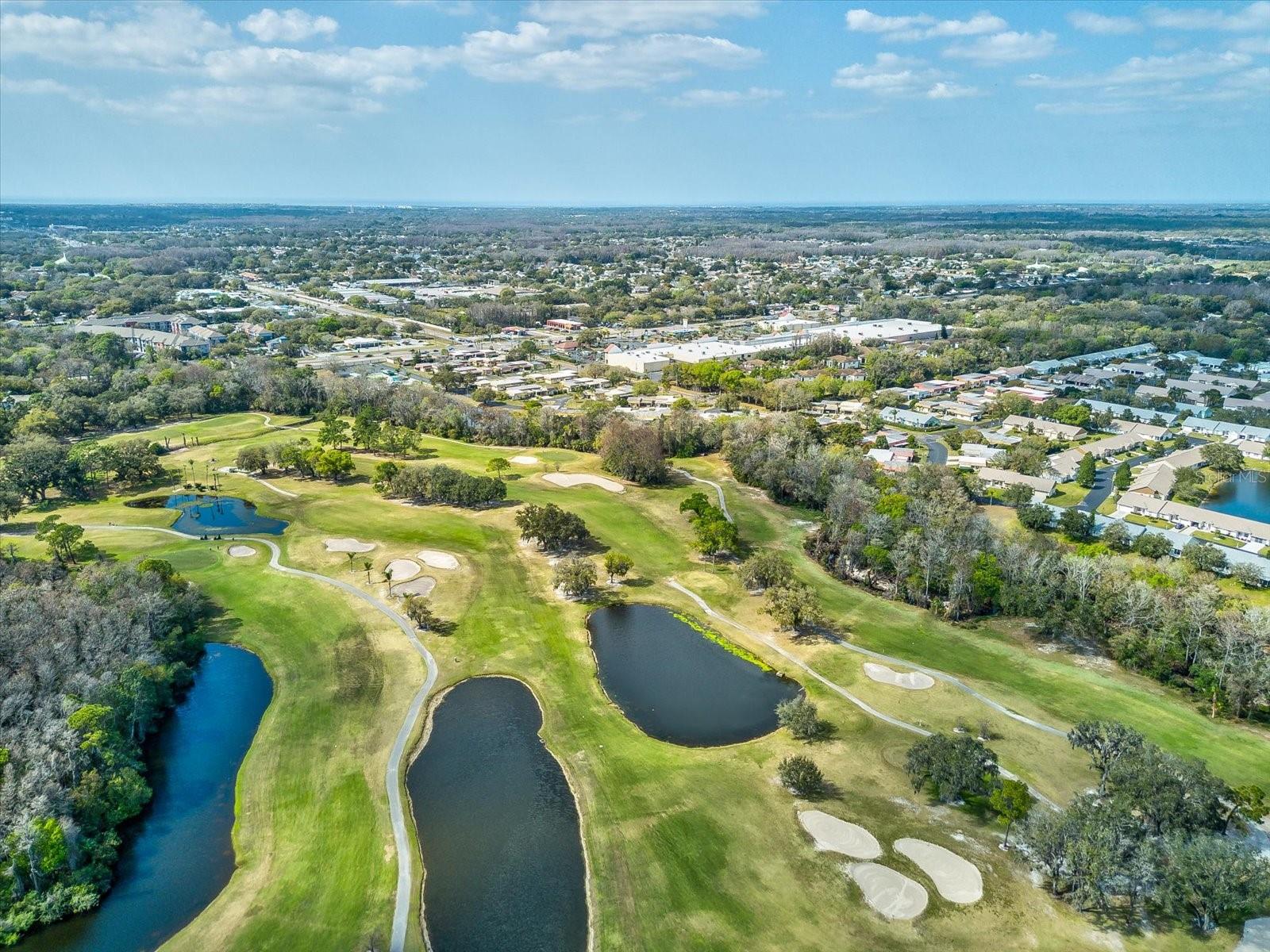 SEVEN SPGS VILLAS CONDO - Residential