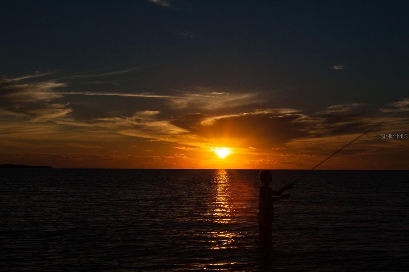 ISLAND ESTATES OF CLEARWATER - Residential