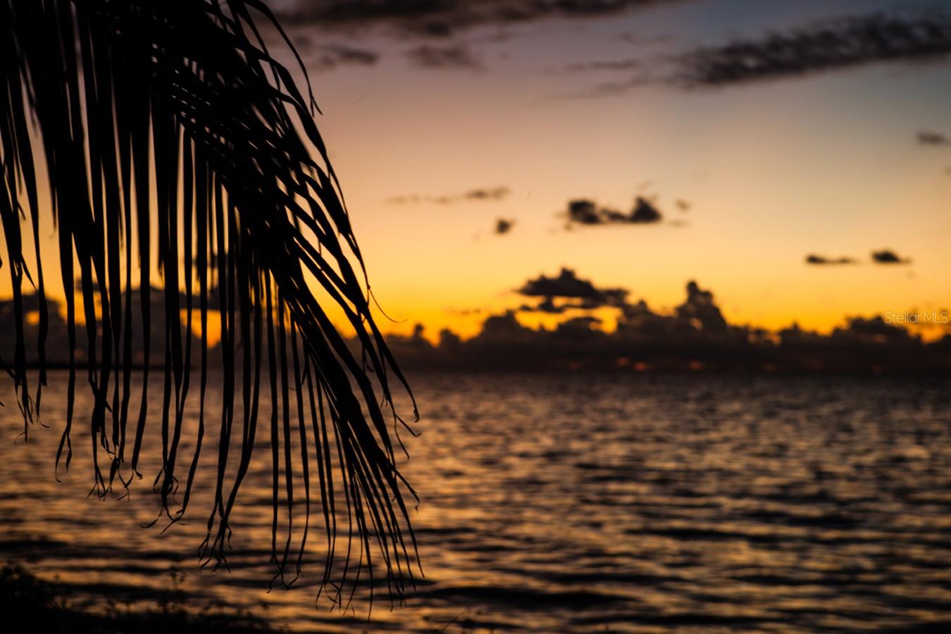 ISLAND ESTATES OF CLEARWATER - Residential